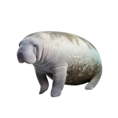 Zelfklevend Fotobehang Manatee  Dugong Sea cow isolated on white png. © Super PNG S