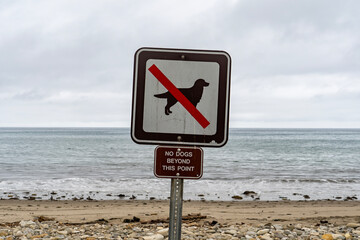 No dogs beyond this point sign on the beach - 616851123