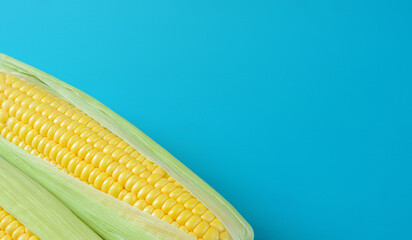 Turquoise background with part of corn with copy space