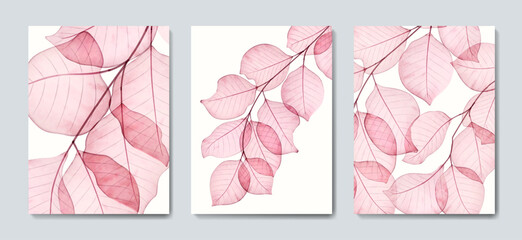 Abstract art background with transparent pink tree leaves in a watercolor style. Set of botanical posters for interior design, print, textile, wallpaper, packaging.