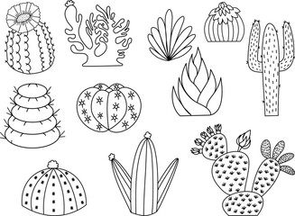 This is a cute cactus doodle drawing. It shows different types of cacti with flowers, spikes, and shapes.. Express your love for cactus plants and nature.