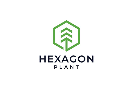 Hexagon tree geometric logo design
