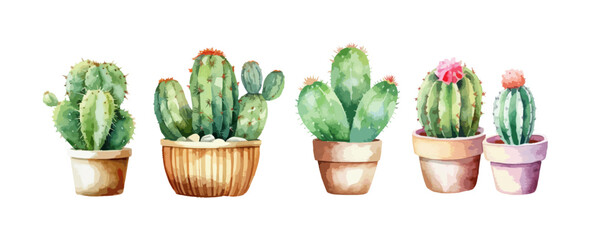 Cactus in pot watercolor isolated on white background. Set of greenery cactus flower plant painting vector illustration