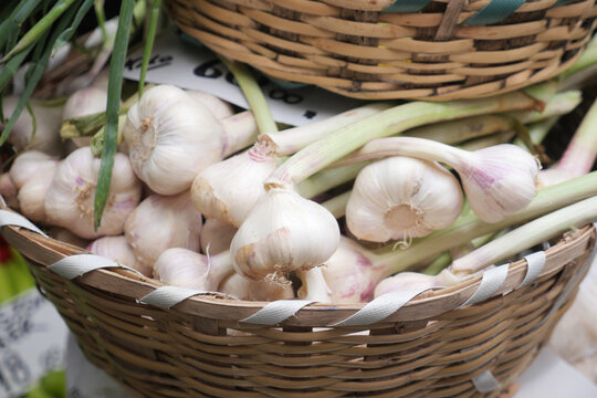 close up pf garlic on white background,