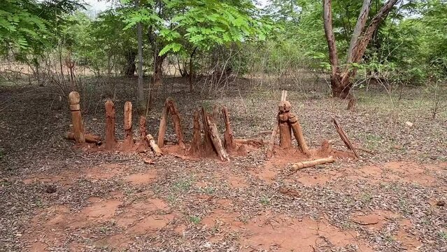 Wooden stick buried in ground in memory of wild animals in a village