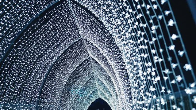 Stunningly Beautiful White Light Display in Sydney Botanic Gardens during Vivid in Slow Motion Tracking Shot