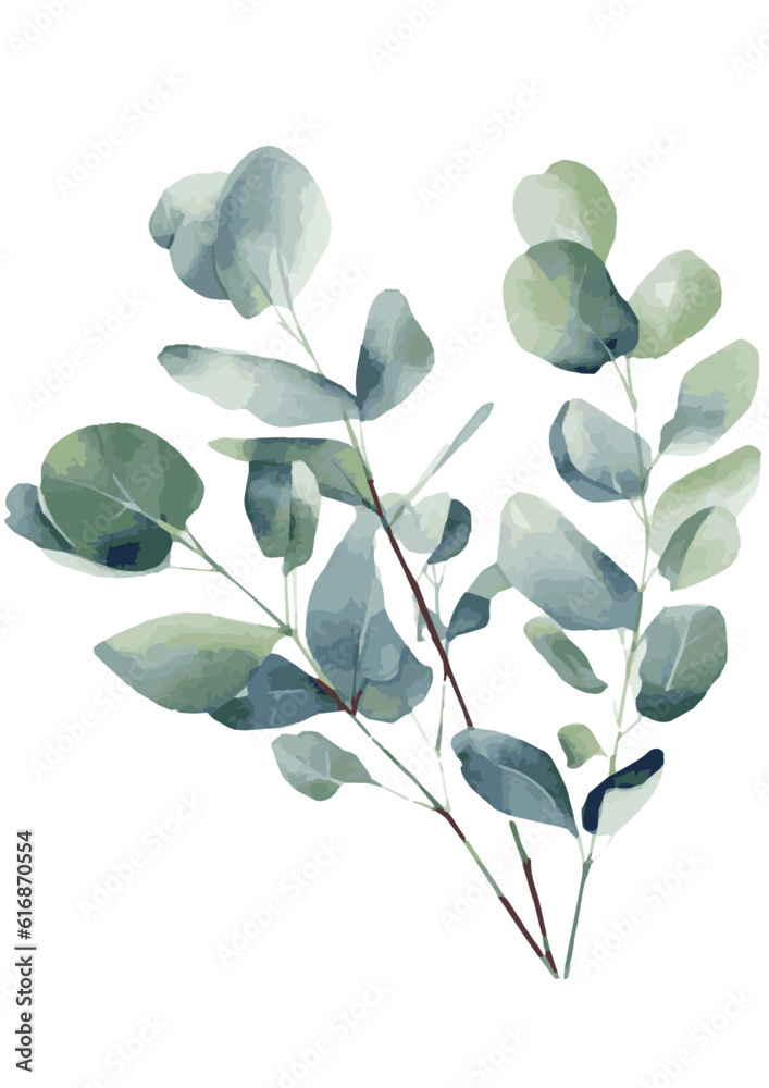 Wall mural watercolor green eucalyptus leaves and branches - Wall murals
