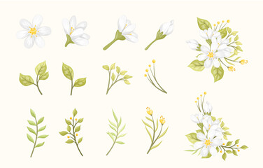 white flowers foliage set