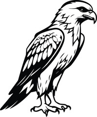 Naklejka premium Hawk Logo Monochrome Design Style
