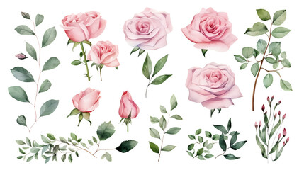 Watercolor elements pink roses, flowers, leaves, eucalyptus, branches set collection for wedding stationary, invitation card, greeting, wallpaper, fashion, isolated on transparent. generative ai