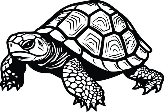 Turtle Logo Monochrome Design Style