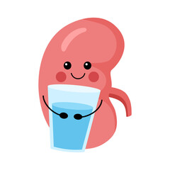 Cute kidney hugging glass of water cartoon character in flat design on white background.