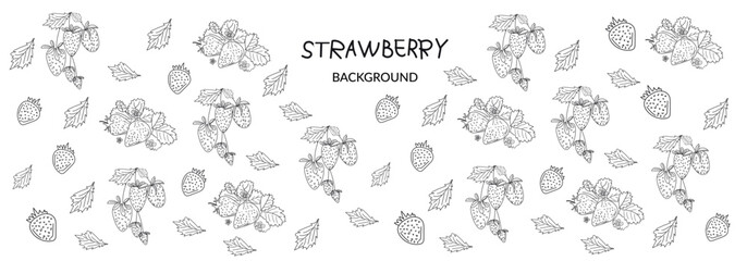 strawberry berry background, design element for packaging, banner, postcard, fabric, sketch illustration
