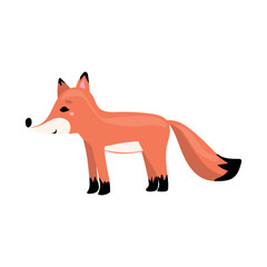 Cute cartoon animal. Cute character - fox on white background. 