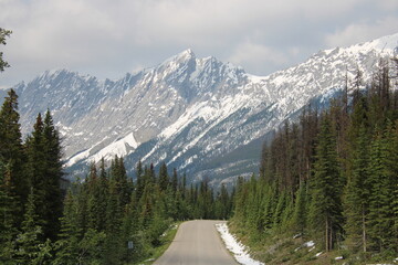 Maligne Lake Road, Jasper National Park, Alberta