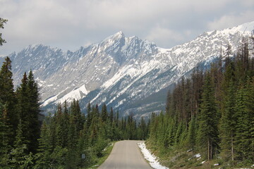 Fototapeta na wymiar Maligne Lake Road, Jasper National Park, Alberta