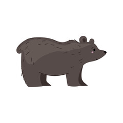 Cute cartoon animal. Cute character - bear on white background. 
