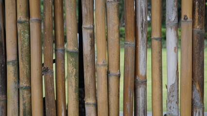 Bamboo background. Dry bamboo background, natural concept