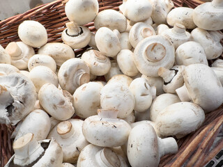 A view of a basket full of white button mushrooms, on display at a local grocery store.
