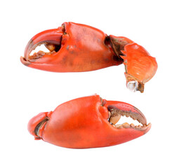 Boiled crab claws isolated on transparent png - obrazy, fototapety, plakaty
