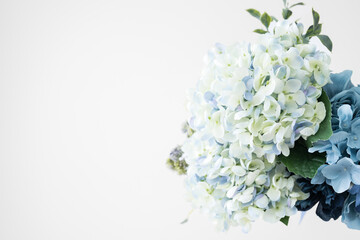 Flowers with blue images, such as hydrangeas and June brides in June