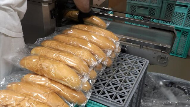 Packaging Line with Fresh Bread Wrapped in Clear Packaging Film at Bread Factory.  Production Line Worker Works at Bread Packaging Line. Loaves of Bread Being Wrapped in Transparent Packaging.