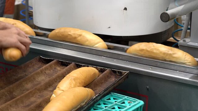 Fresh Bread Moving Along Packaging Line in Bread Factory. Production Line Worker Works at Bread Packaging Line. Loaves of Bread Being Wrapped in Transparent Packaging.