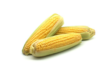 Corn on the cob with leaves over white background