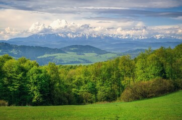 Fototapeta na wymiar Spring mountain landscape in Polish mountains. Beautiful panorama with views of the high peaks.