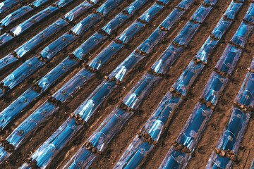 Aerial shot of plastic sheeting tunnel hothouse equipment on watermelon plantation from drone pov