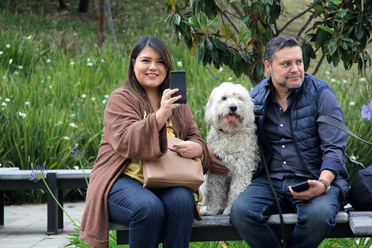 Couple of Hispanic man and woman sitting on a park bench care for their white fluffy dog ​​and take a selfie photo with their cell phone as a family