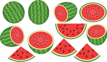 watermelon vector design