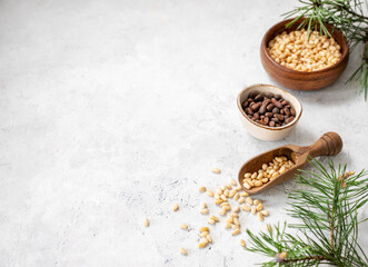 Flat lay of pine nuts in a bowl and wooden scoop on a light texture background with branches of pine needles. The concept of a natural, organic and healthy superfood and snack.