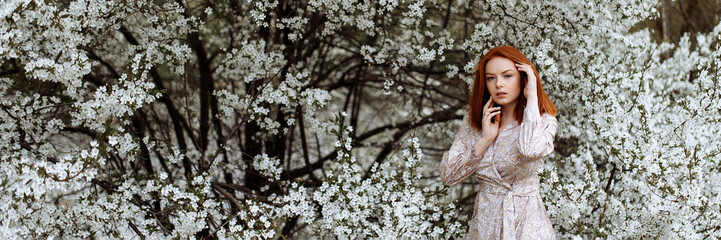 Beautiful young red haired woman in a dress on a background of many white flowers of an apple tree. Banner for website header design with copy space.