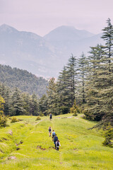 Fototapeta na wymiar Group of hikers walking by a Lycian way in Turkish mountains