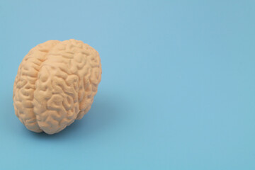 Obraz premium Human brain on blue background with space for text.