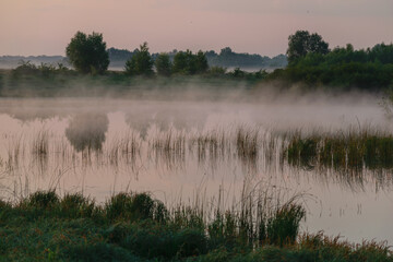 Obraz na płótnie Canvas morning mist over swamp