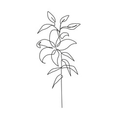 Fototapeta na wymiar One Line Vector Drawing of Leaves Branch. Botanical Modern Single Line Art, Aesthetic Contour. Perfect for Home Decor, Wall Art Posters, or t-shirt Print, Mobile Case. Continuous Line Drawing 