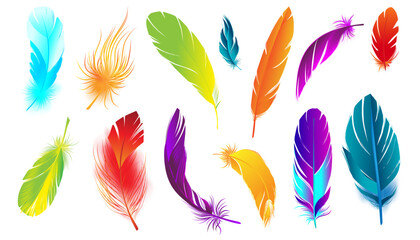 Colored Feathers Realistic Set