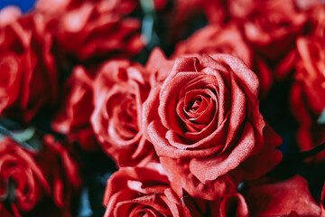 red roses background