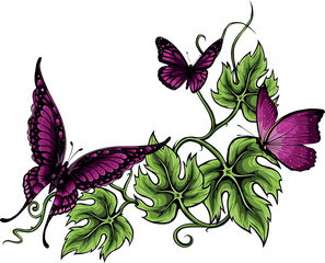 vector illustration of Butterflies and flowers isolated on white
