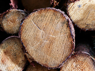 Stacked wooden logs at workshop