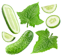 Cucumber with leaves isolated on white background. Cucumber for your design. Cucumber clipping path
