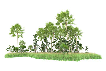 Tropical forest isolated on transparent background. 3d rendering - illustration