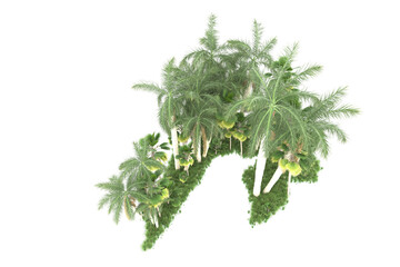 Palm trees isolated on transparent background. 3d rendering - illustration