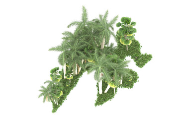 Palm trees isolated on transparent background. 3d rendering - illustration