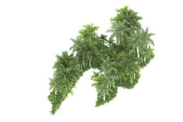 Palm trees isolated on transparent background. 3d rendering - illustration