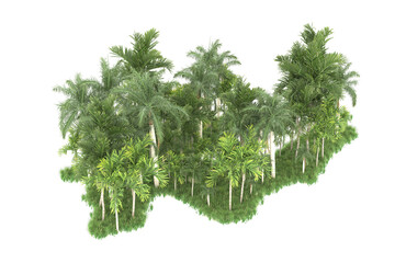Palm trees isolated on transparent background. 3d rendering - illustration