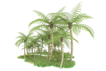 Obraz premium Tropical forest isolated on transparent background. 3d rendering - illustration