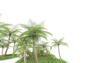 Tropical forest isolated on transparent background. 3d rendering - illustration